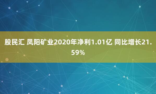 股民汇 凤阳矿业2020年净利1.01亿 同比增长21.59%