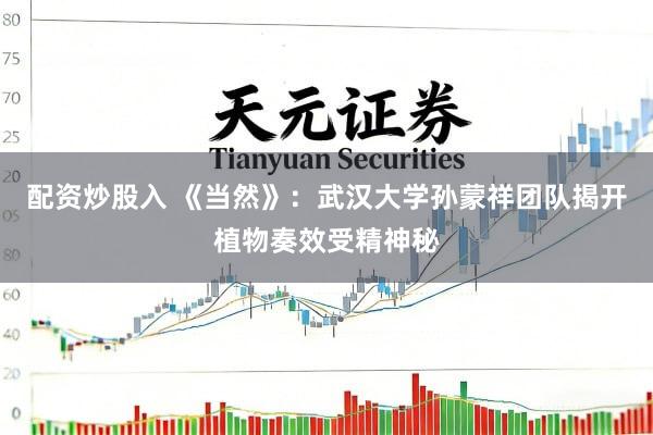 配资炒股入 《当然》：武汉大学孙蒙祥团队揭开植物奏效受精神秘